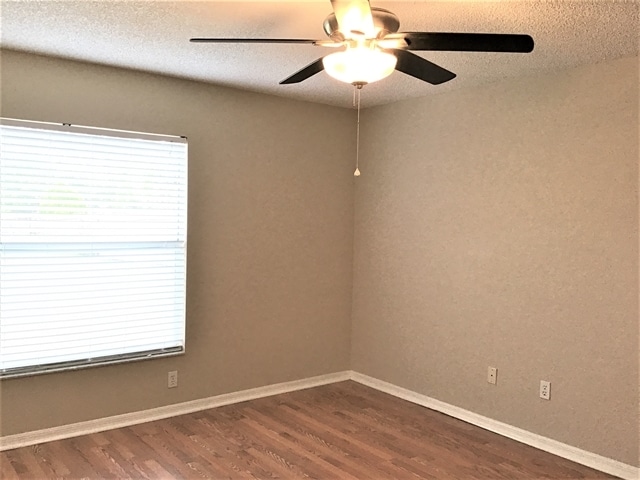 11732 Crescent Pines Blvd, Clermont, FL 34711 - photo 6