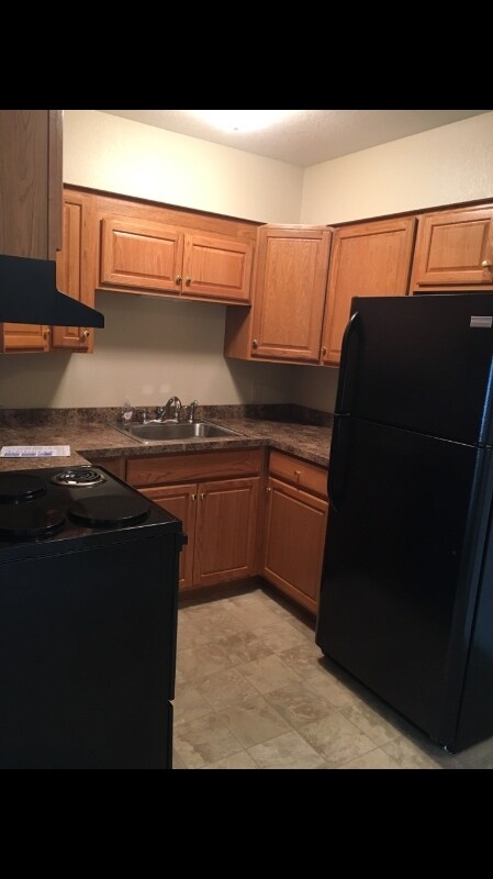 210 W Hack St unit 4, Cullom, IL 60929 - photo 3