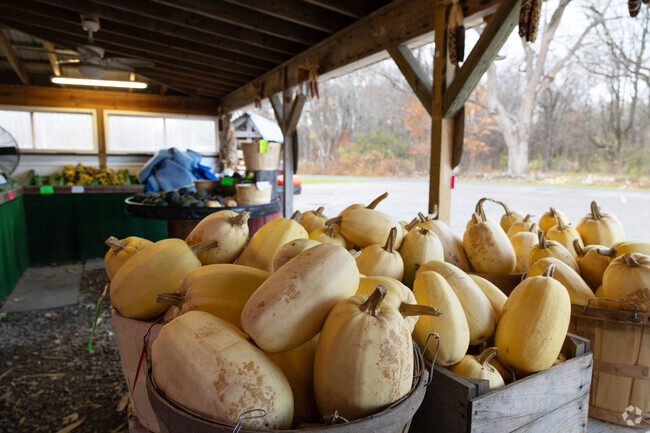 Enjoy fresh produce from Arnold's Farm Stand in Charlton.