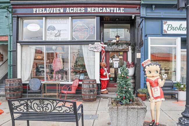 Fieldview Acres Mercantile is a fun and quirky antique shop in downtown Newton Falls.