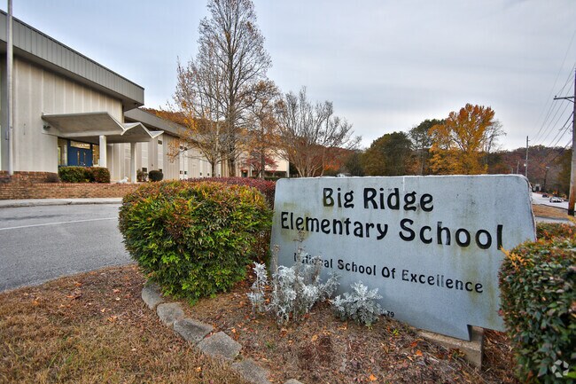 Big Ridge is the elementary that is local for Big Ridge and Middle Valley.