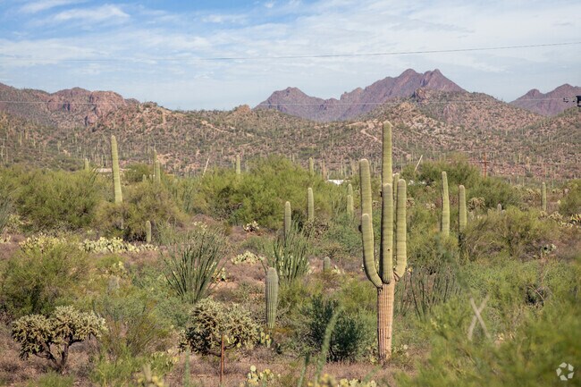 Enchanted Hills is close to numerous hiking areas in the Sonoran Desert.