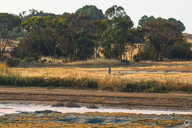 Bayfront park is the perfect location to take your dog and hike for miles.