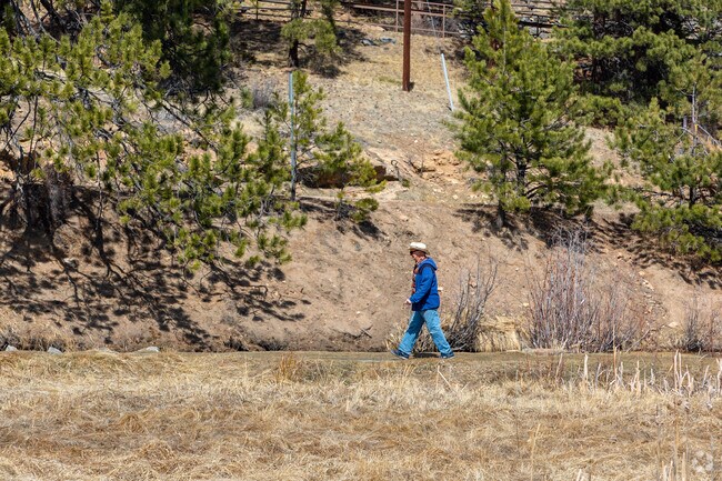 The flat trails at Dedisse Park in Evergreen make it a very accessible park.