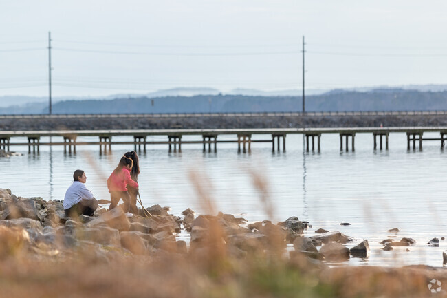There are many opportunities to enjoy nature and the water along the shores of Lake Guntersville in Guntersville Alabama.