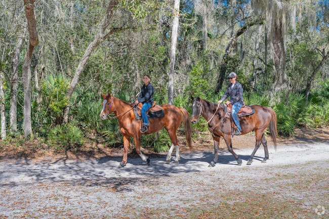 Bring your horses and take a walk along the shady trails at Doris Leeper Spruce Creek Preserve.