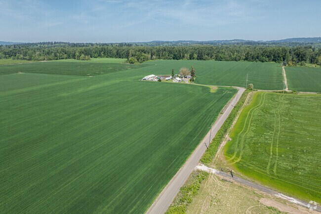 Roads in Barlow cut through verdant farm fields with various shades of green.