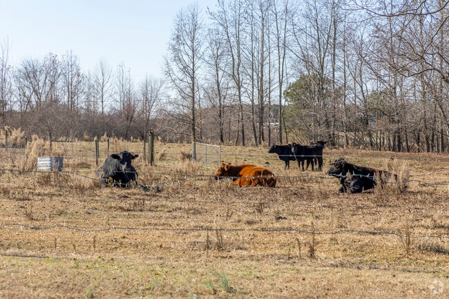 Enjoy the serenity of farm life living in Windsor, Virginia.