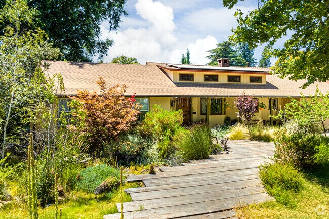 Central Davis homes hide under lush trees.