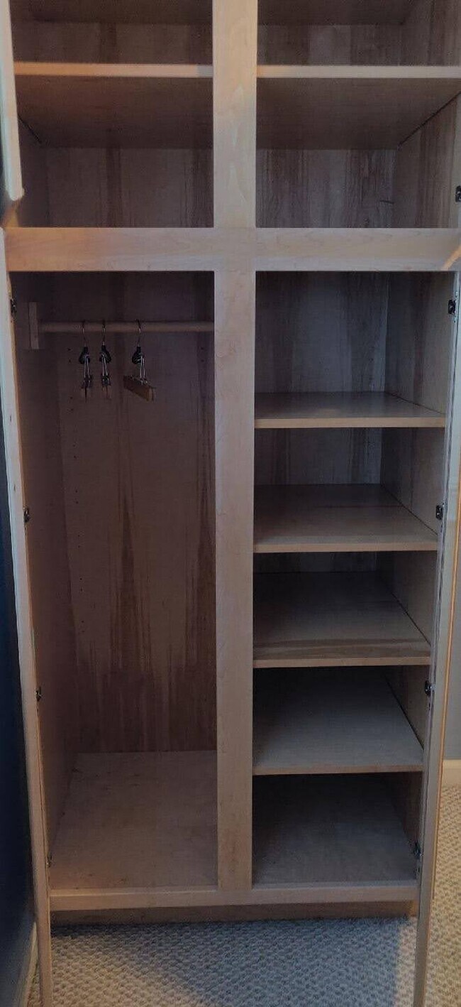 Downstairs den closet