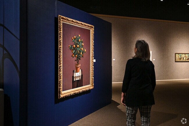 The Museum of Art – Deland spans two locations with rotating exhibits and installations.