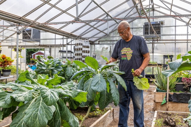 Edgemont residents enjoy the benefits of the Edgemont Solar Garden.