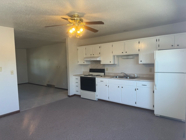 502 N Johnson St unit 1, Parkersburg, IA 50665 - photo 2