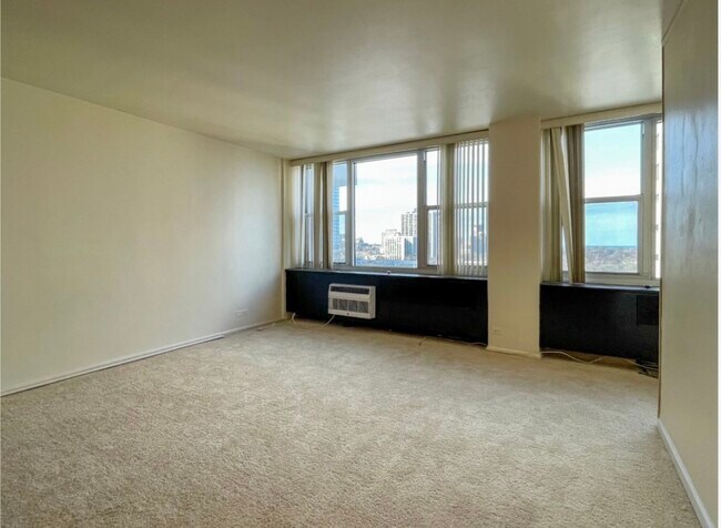 Imperial Towers Condominium unit 1034, Chicago, IL 60613 - photo 4