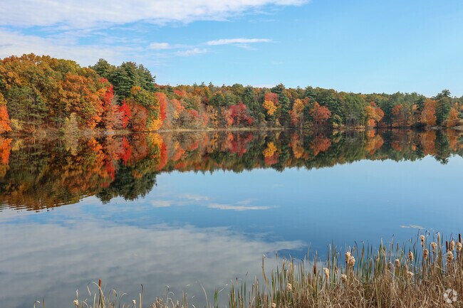 Take in the beauty of the Chicopee Reservoir in the Burnett Road area.