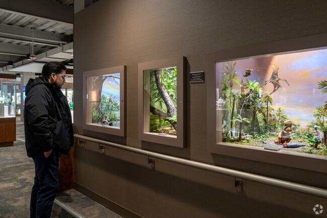 Take in the beauty of Lizzadro Museum of Lapidary Art near Brook Forest.