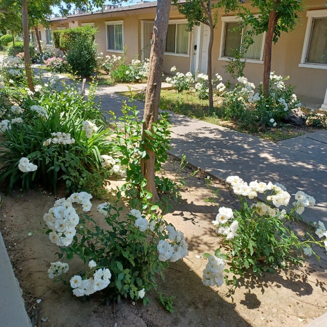 212 W Dakota Ave unit 212-D, Fresno, CA 93705 - photo 2