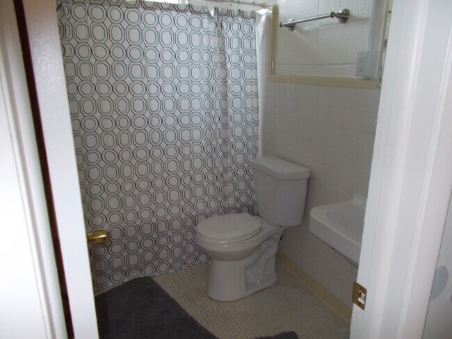 165 Talmadge St unit 4, Athens, GA 30605 - photo 6