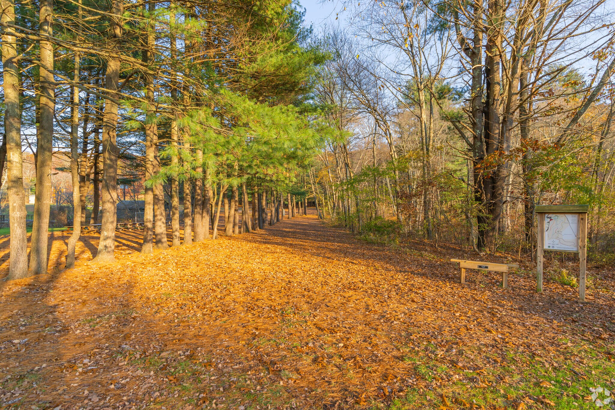 The entrance to a heavily wooded trail at Diamond Hill Park.