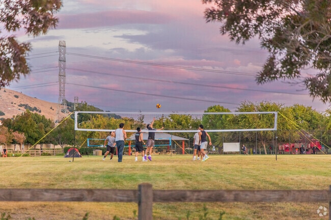 Vintage Ranch's Shenandoah Park is always full of local life.