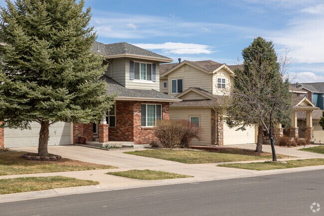 Tree-lined streets create a welcoming feel in Sterling Hills.