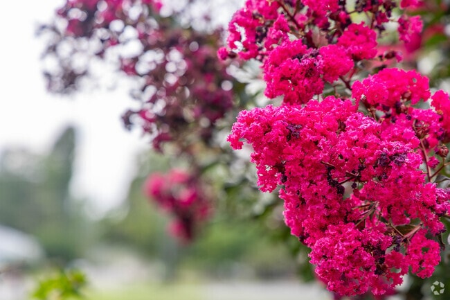 Beaty shows throughout Mt. Orab.