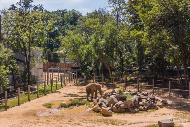 The Maryland Zoo in Baltimore is home to over 1,500 animals and offers immersive exhibits like African Journey and Penguin Coast.