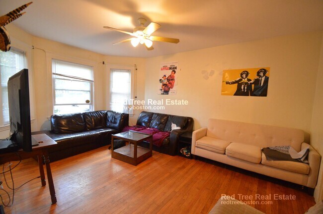 209 Chestnut Hill Ave, Brighton, MA 02135 - photo 7