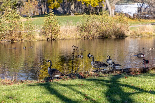 Towering trees and nearby parks keep Sunset Hills close to nature.