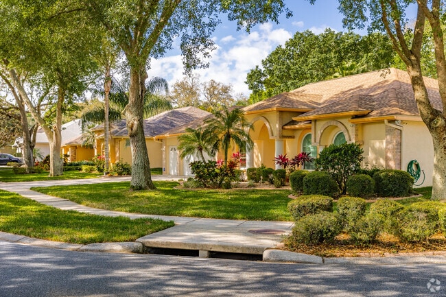 Mediterranean style homes align the streets in the Temple Terrace neighborhood.