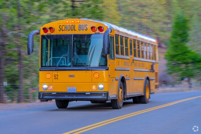 Children ride the bus to school in Challenge-Brownsville.