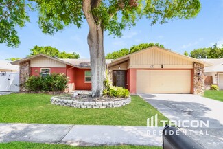 2247 Blue Tern Dr, Palm Harbor, FL 34683