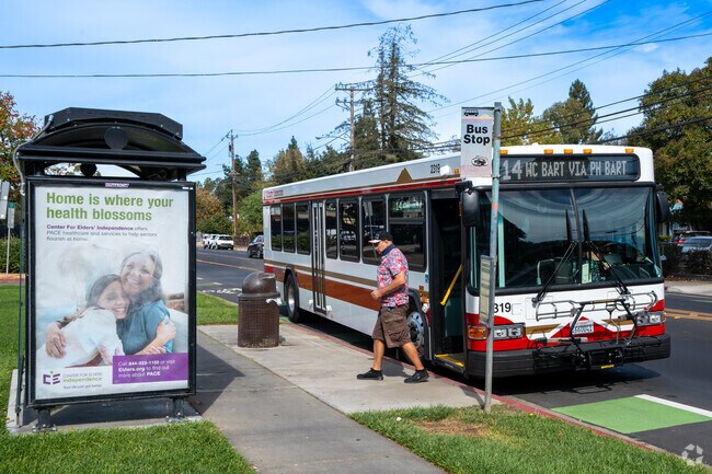 Princess Park is full of different bus stops..