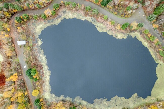 Hawks Prairie Reclaimed Water Ponds is now a trail for locals to walk in Edgewater WA.