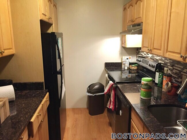 2 Shepherd Ave unit 2, Boston, MA 02115 - photo 4