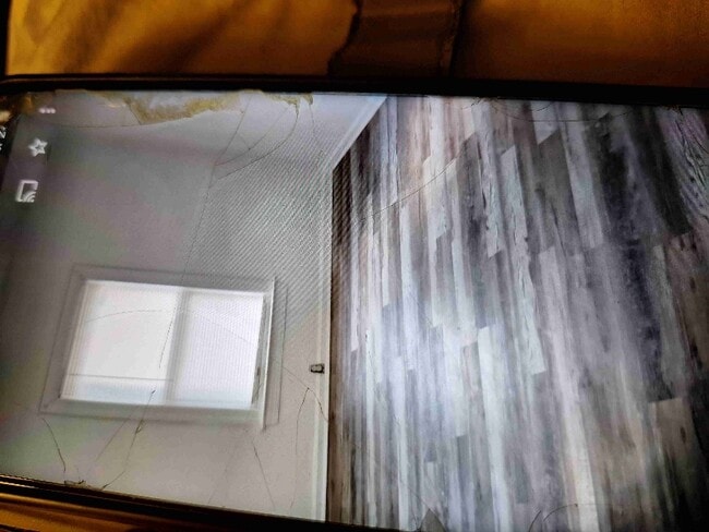 2710 Grandy Ave, Norfolk, VA 23509 - photo 4