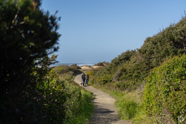 The 804 Trail connects the Smelt Sands Recreation Site to Yachats State Park and Recreation Site.