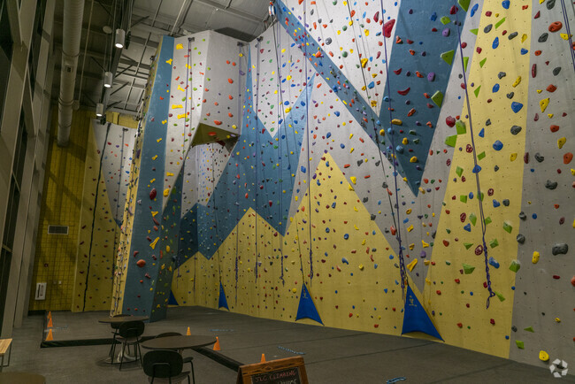 The rock climbing wall at the Johnson Legacy Center offers a variety of difficulty levels.