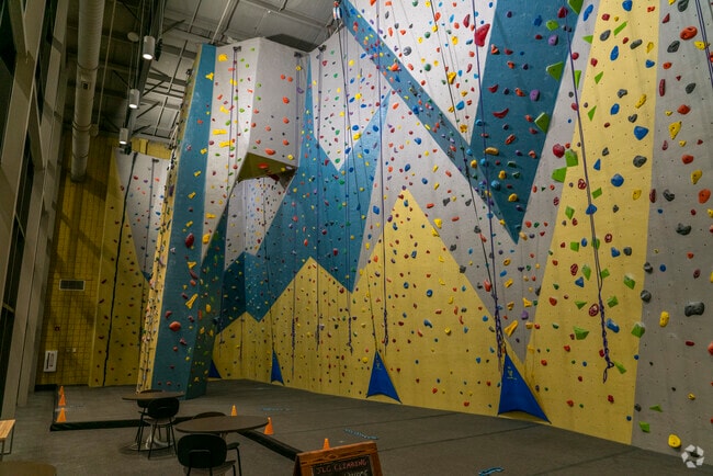 The rock climbing wall at the Johnson Legacy Center offers a variety of difficulty levels.