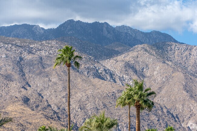 Mt. San Jacinto provides a serene escape for campers, hikers, and wildlife enthusiasts.