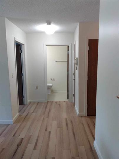 85 Bancroft Rd, Danforth, ME 04424 - photo 4