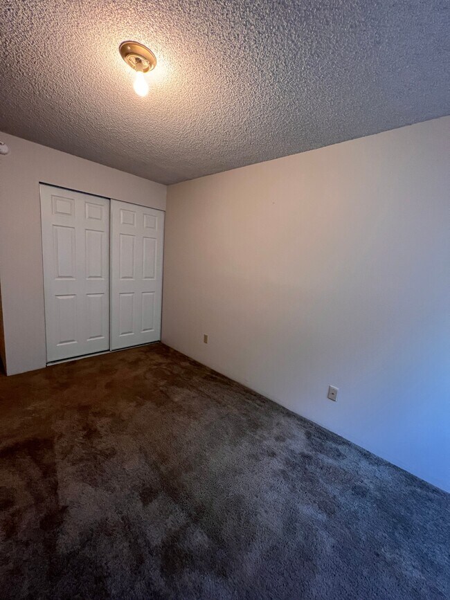 Mountain View Apartment, Seattle, WA 98125 - photo 6