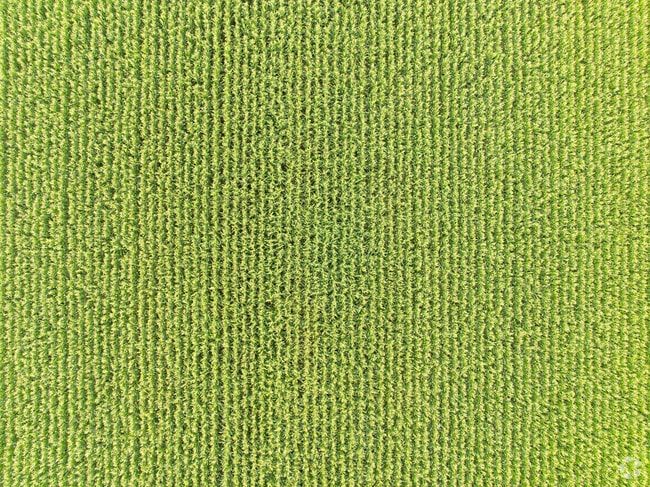 Local crops support Gustine’s economy and community.