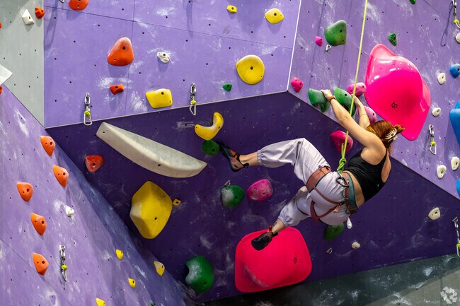 Test your strength at Dyno Detroit, Detroit's newest climbing gym, located near Sherwood.