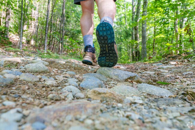 Immerse yourself in nature among one of the many hiking trails in New Hampton.