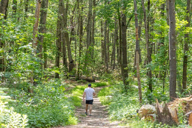 The Lowell-Dracut-Tyngsborough State Forest is a local favorite for outdoor recreation.