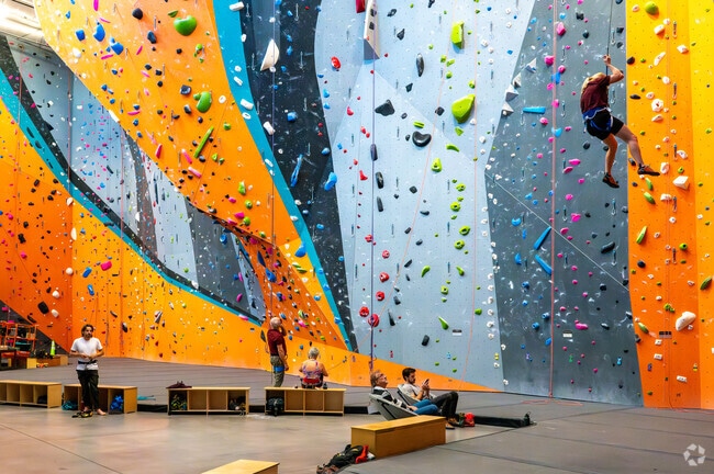 Rock climbers enjoy climbing at Stone Age Climbing Gym, located minutes away from North Valley.