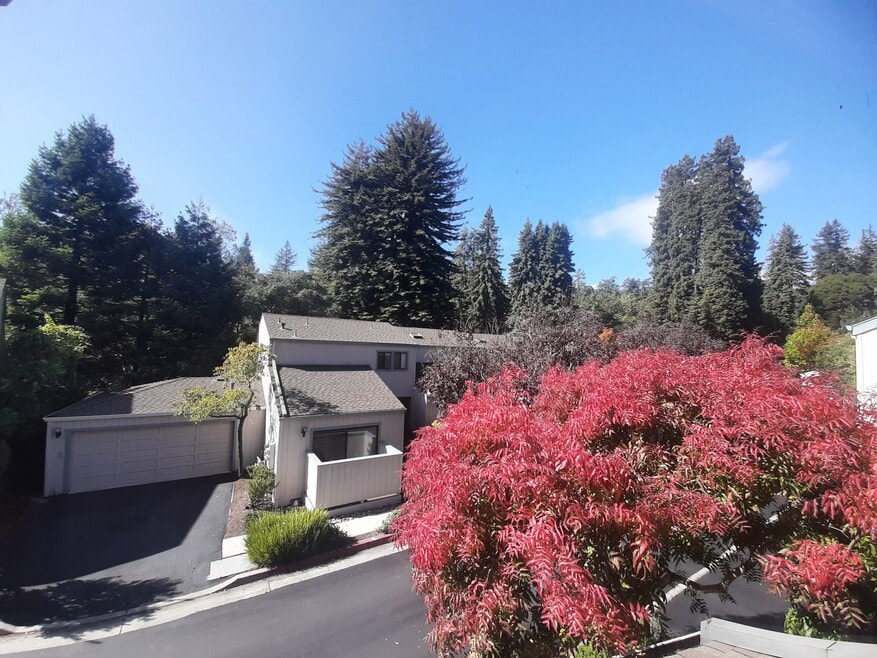 321 Village Creek Rd, Aptos, CA 95003 - photo 1