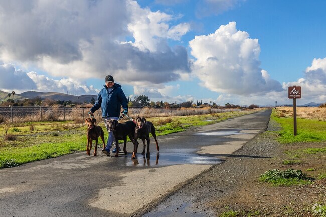 Discover hiking trails to the Delta at Bay Point Regional Shoreline.