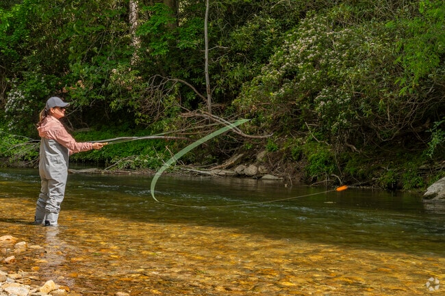 Locals in Sugar Grove, NC enjoy outdoor fun on the Watauga River, perfect for kayaking, fishing, and peaceful riverside picnics.